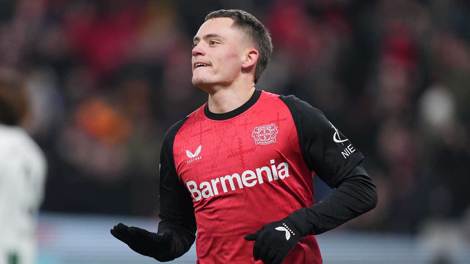 例如传统豪 例如传统豪